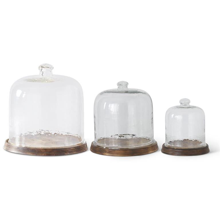 Wavy Glass Cloches w/Wood Tray Base