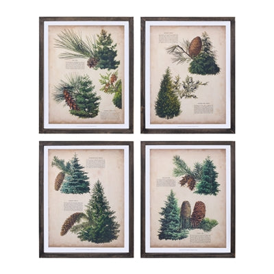 PINE PRINT FRAME