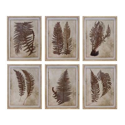 FERN PRINT IN FRAME