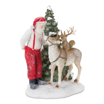 SANTA W/ANIMALS