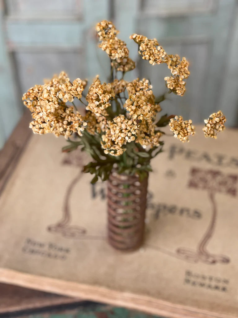 Fennel Flower Bundle