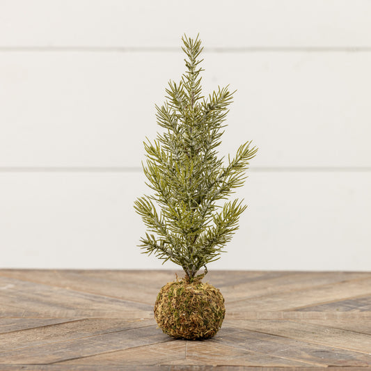 12.25" PINE TREE W/ MOSS BALL BASE