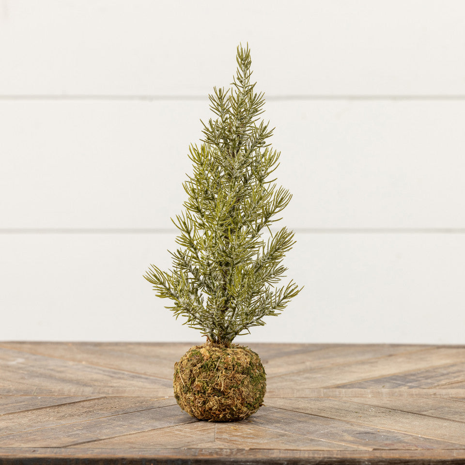 14" PINE TREE W/ MOSS BALL BASE