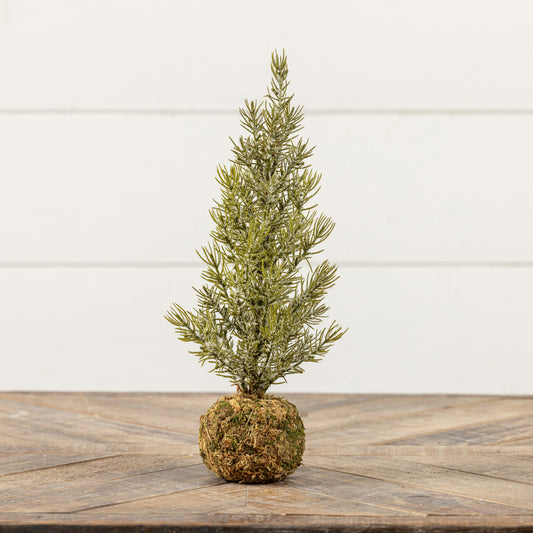 14" PINE TREE W/ MOSS BALL BASE