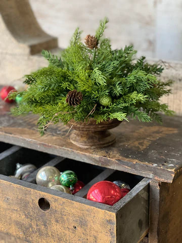 Bristlecone Cedar Half Sphere | 13"