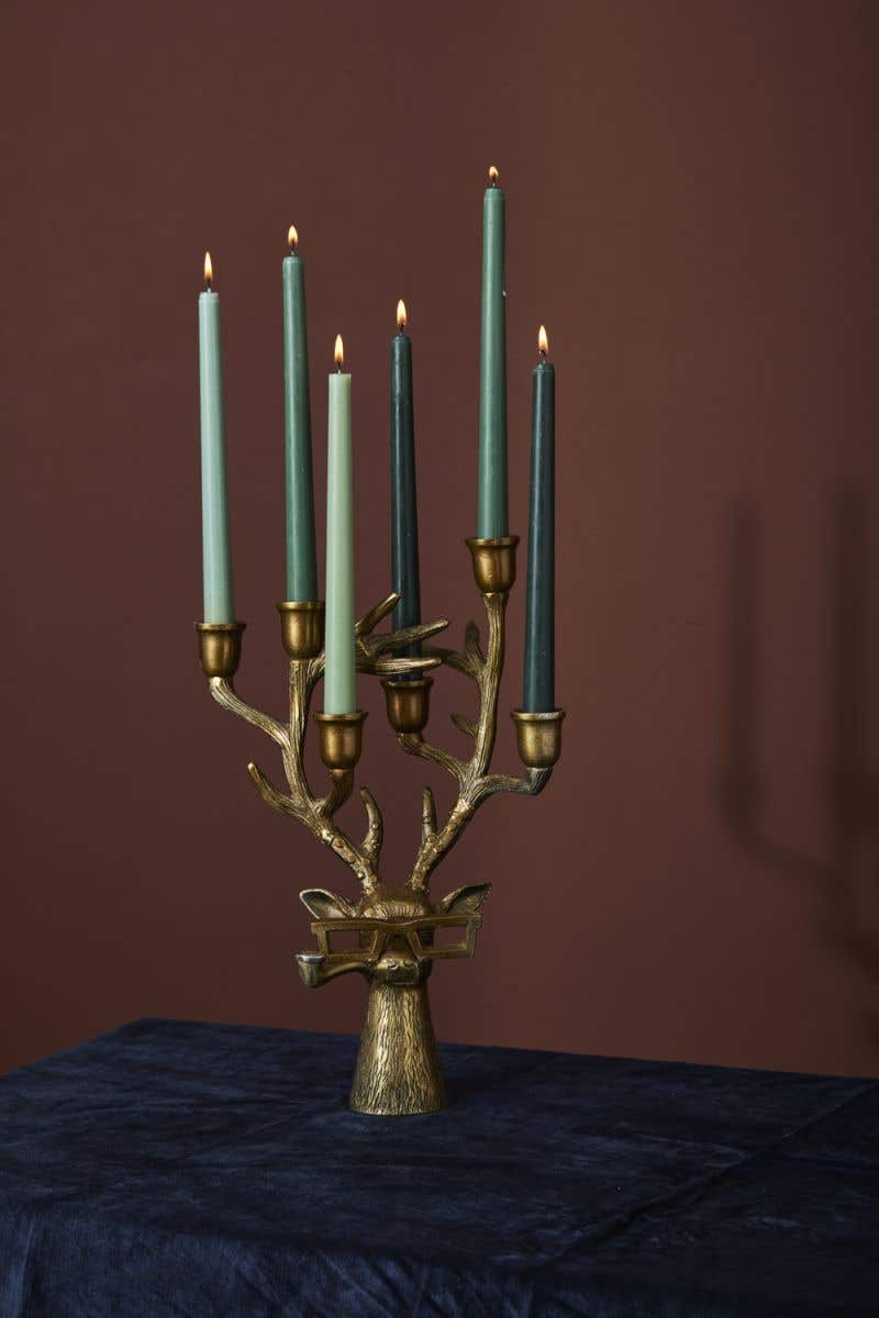 FRANKIE CANDELABRA