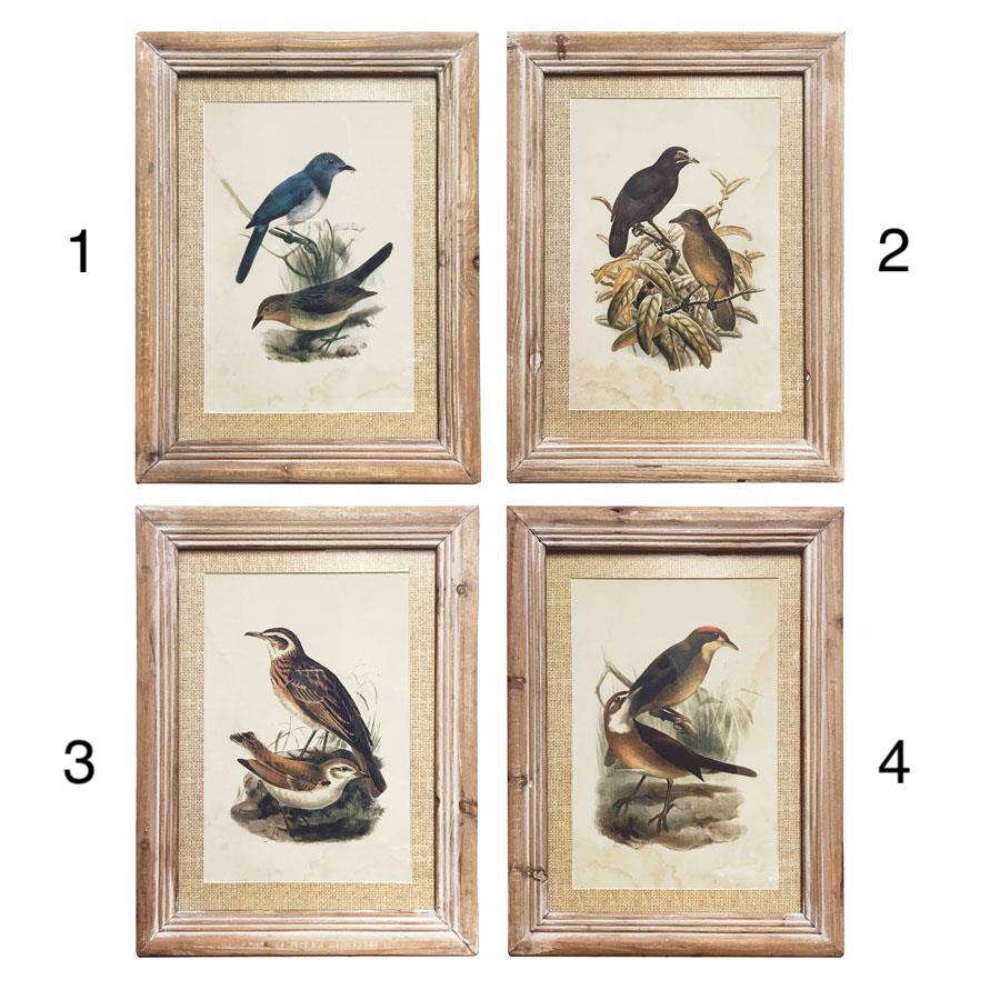 Bird Prints w/Weathered Frames