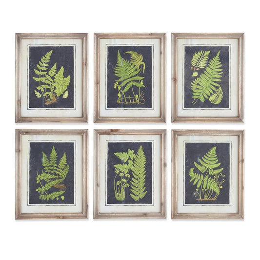 Natural Wood Framed Fern Prints