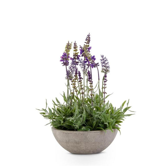 Purple Lavender In Gray Bowl