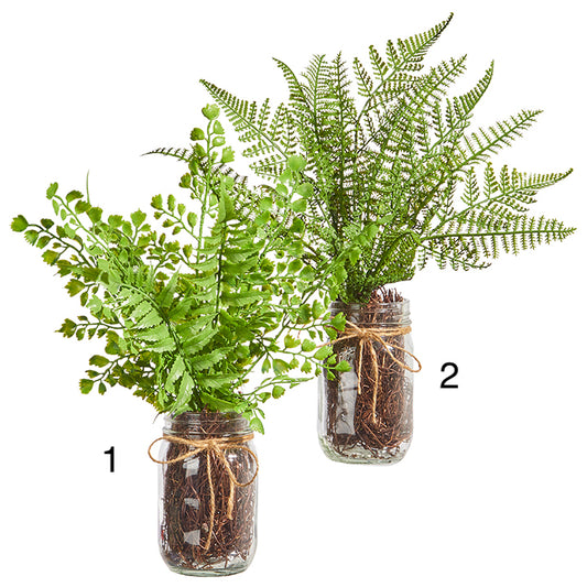 13.5" FERN IN GLASS JAR