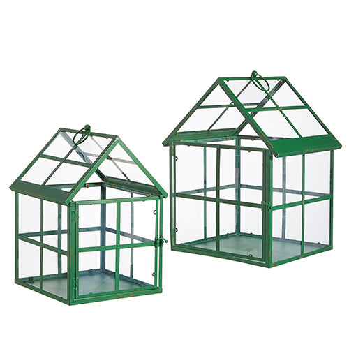 Green Terrarium