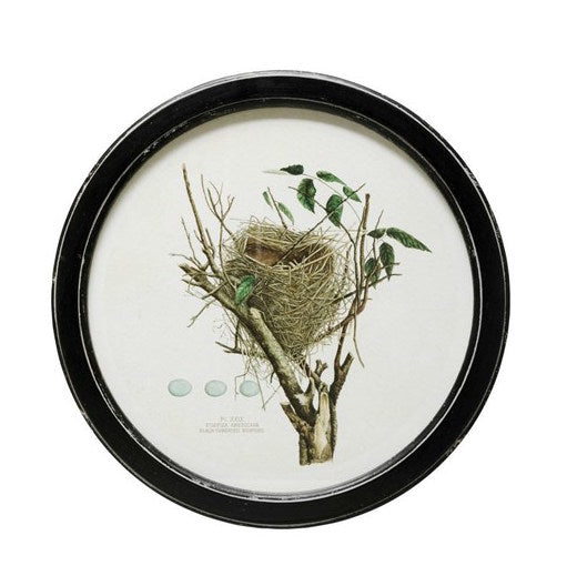 Round Framed Wall Decor w/ Vintage Reproduction Nest Print