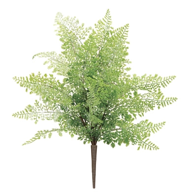 FERN BUSH 19"