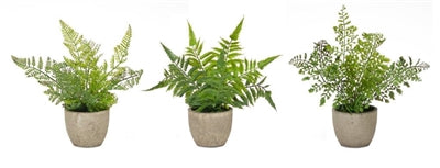 POTTED FERN 9.5"H