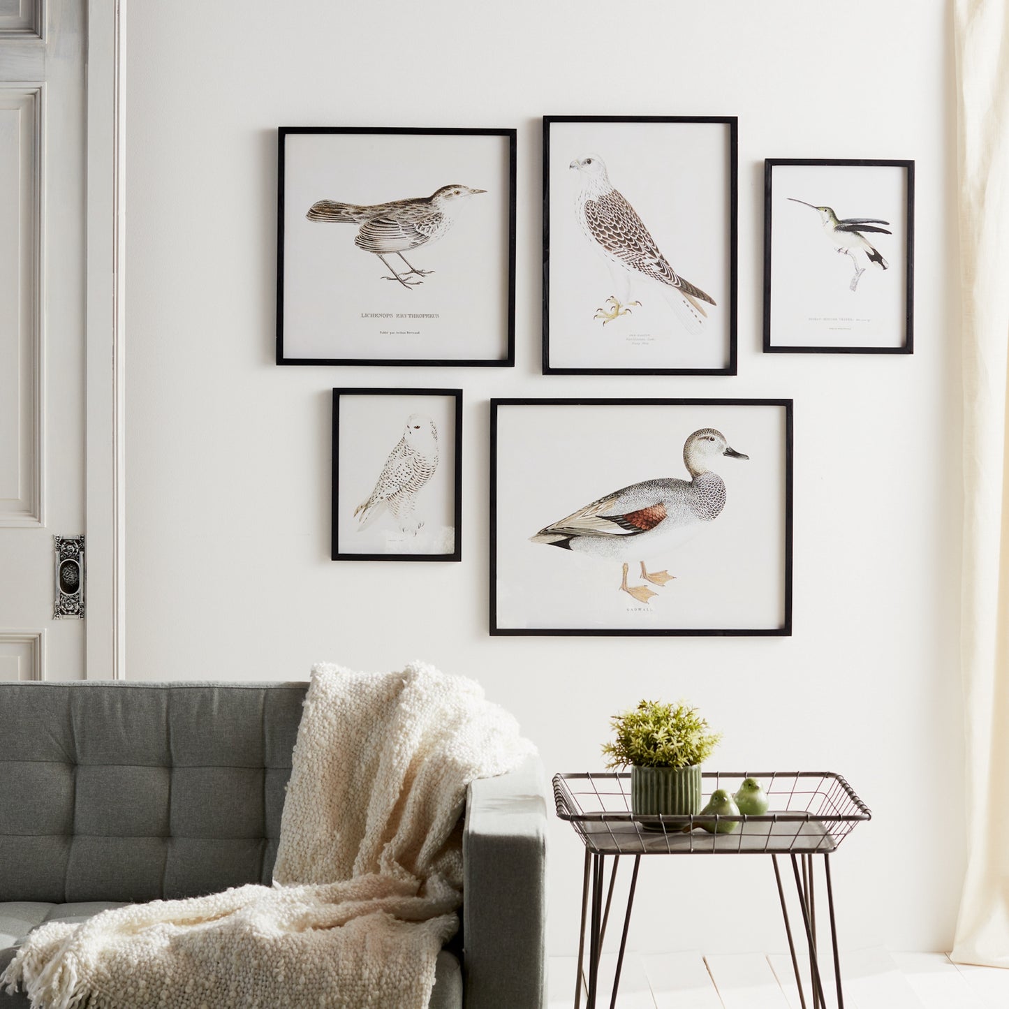 BIRD PRINT FRAME