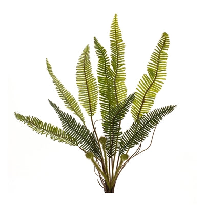 FERN PLANT 17.5”H