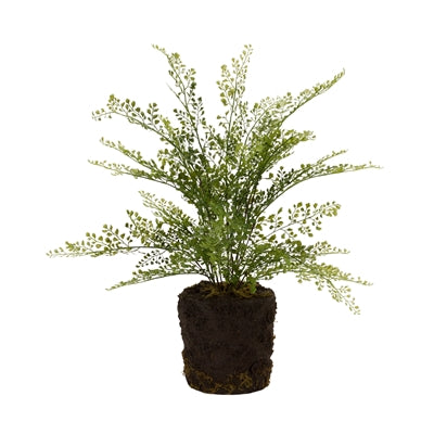 POTTED FERN BUSH 21”H