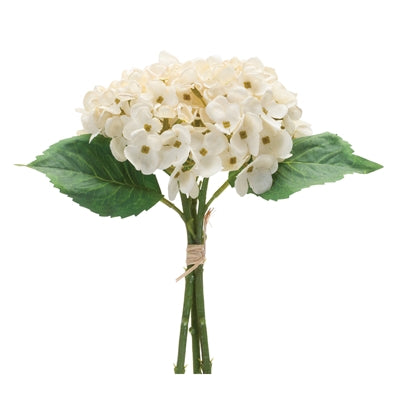 HYDRANGEA BUNDLE