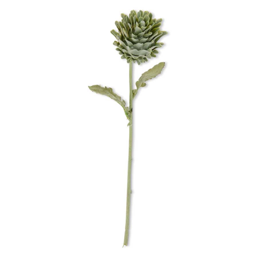 Artichoke Stem-Soft Green