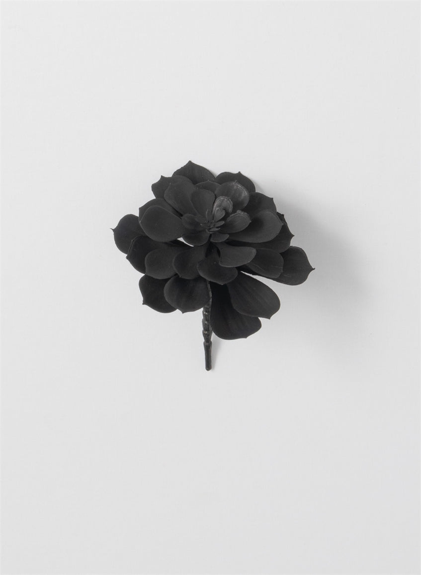 Black Succulent Stem