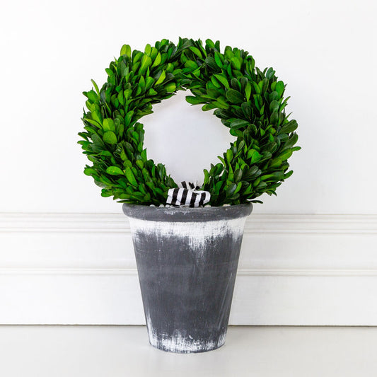 BoxWood Wreath on Pot, Green/Black/White