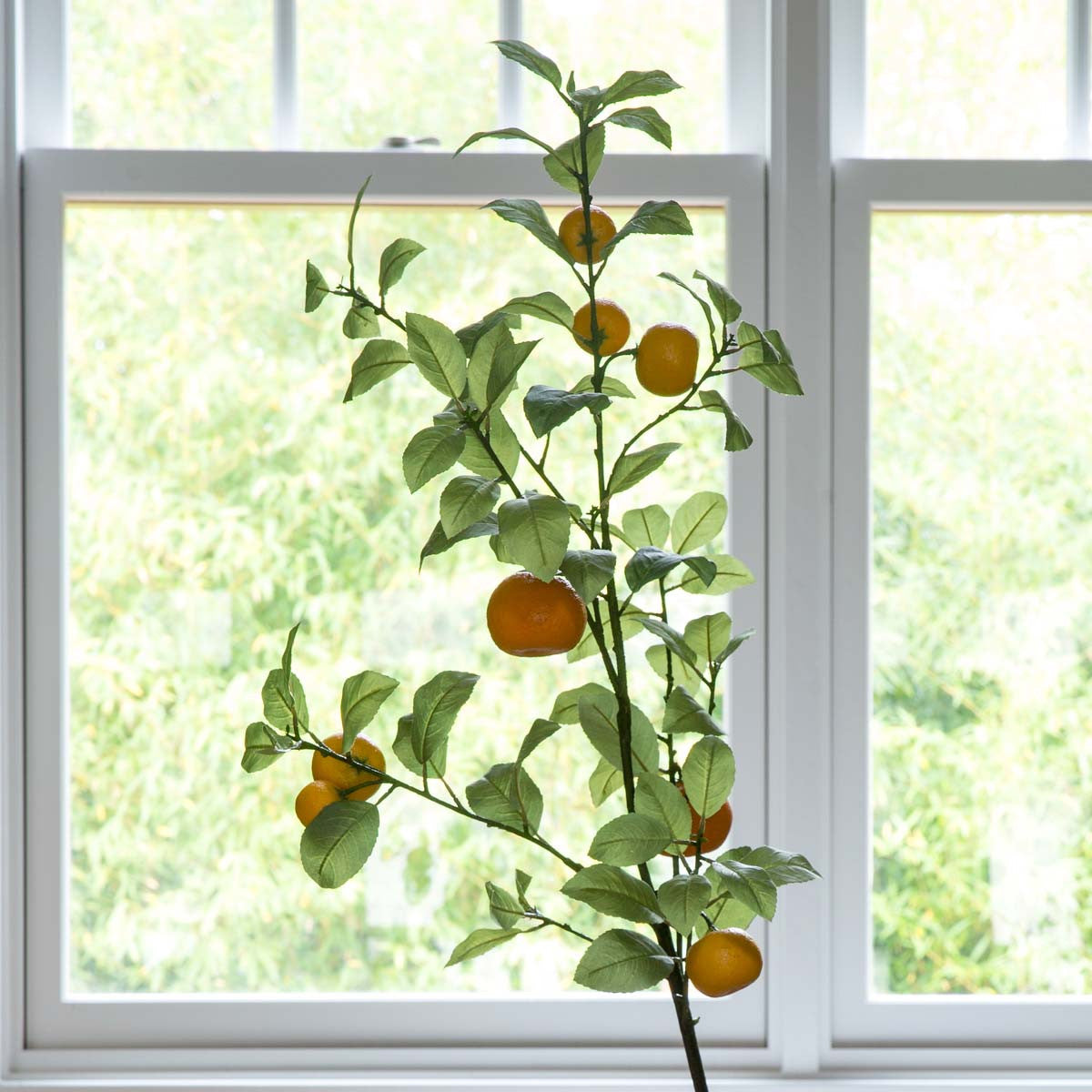 Tangerine Branch
