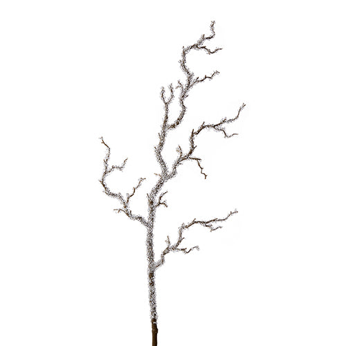 Iced Branch