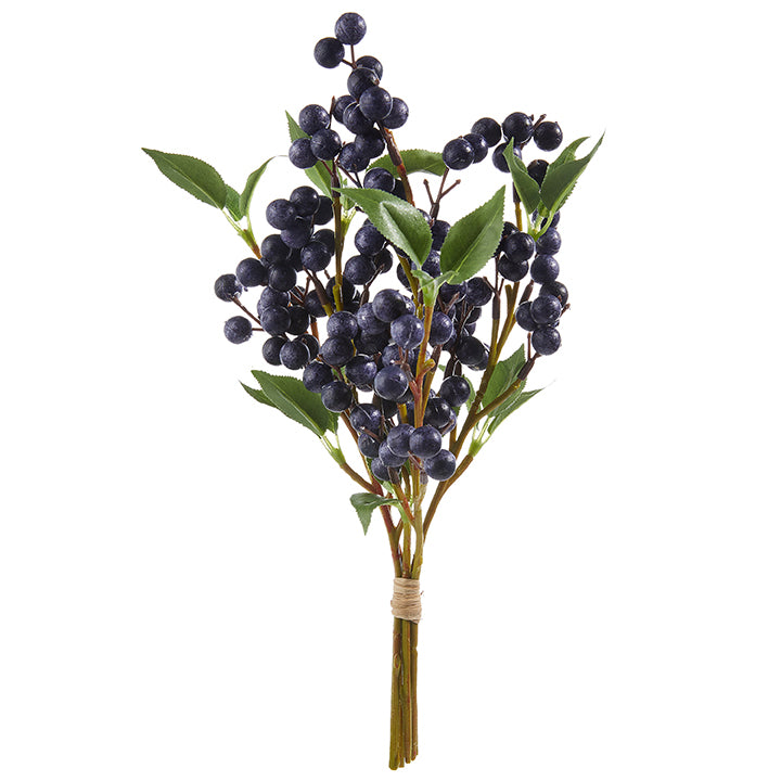 BLUE BERRY BUNDLE