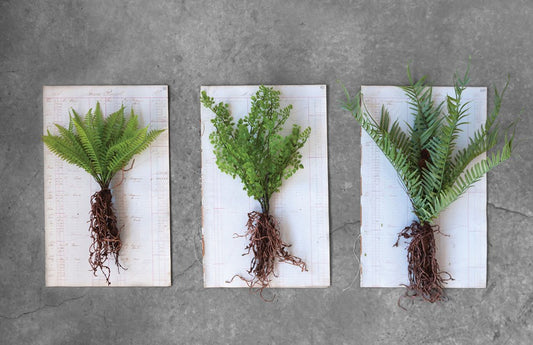 Faux Ferns with Exposed Roots