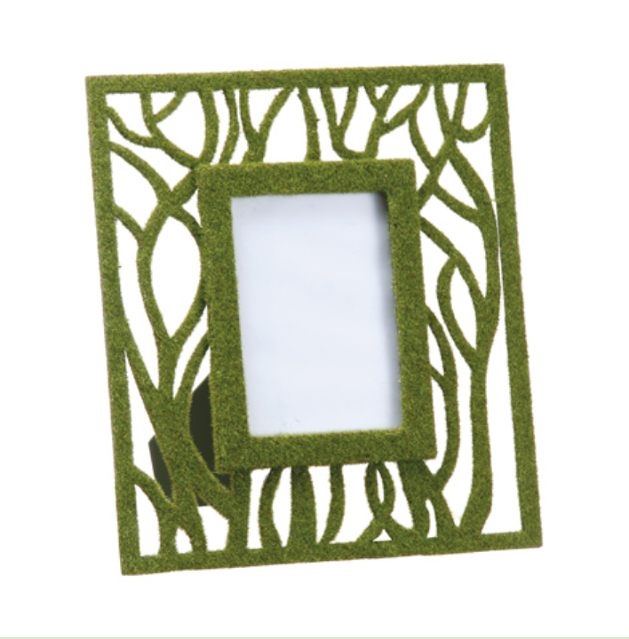 Moss Picture Frame