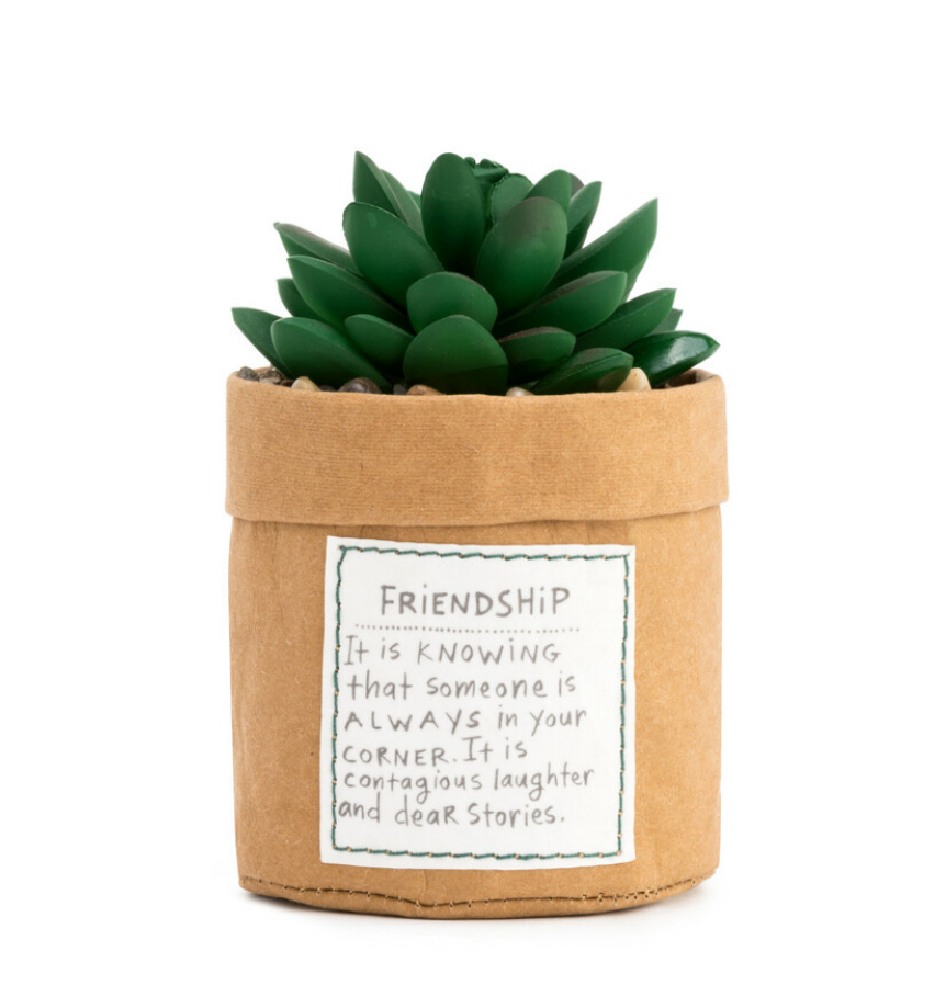 Plant Kindness Friendship Planter