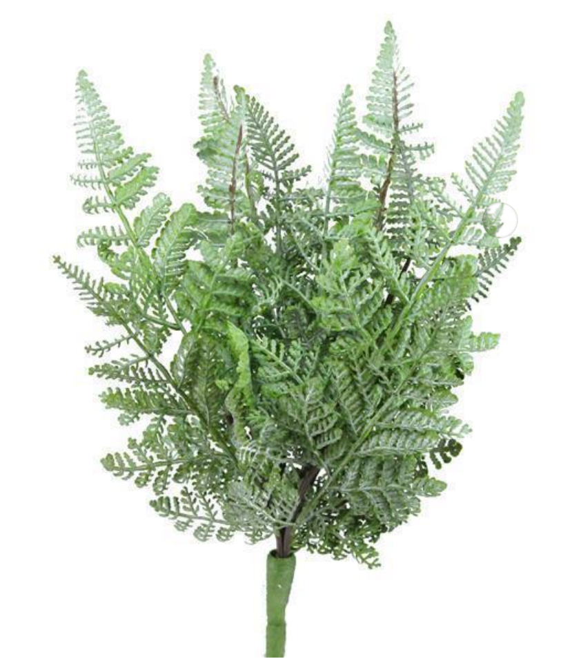 Dusty Green Fern Bush