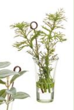 Herb Garden Namecard Holder in Glass Vase