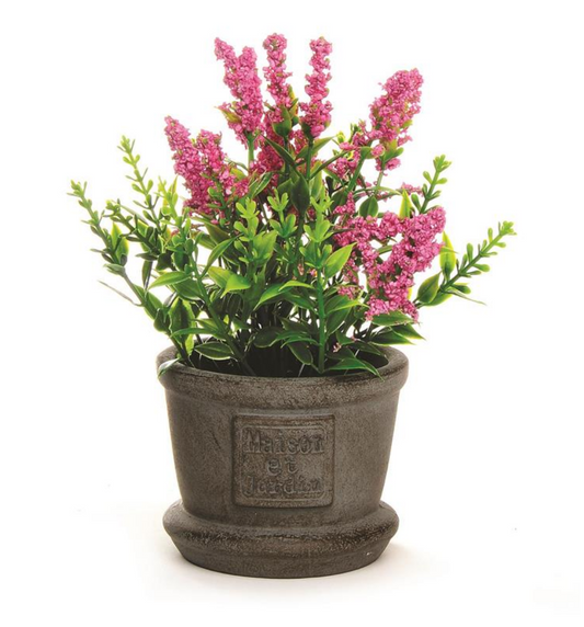 Dark Pink Flowers in Dark Grey Pot