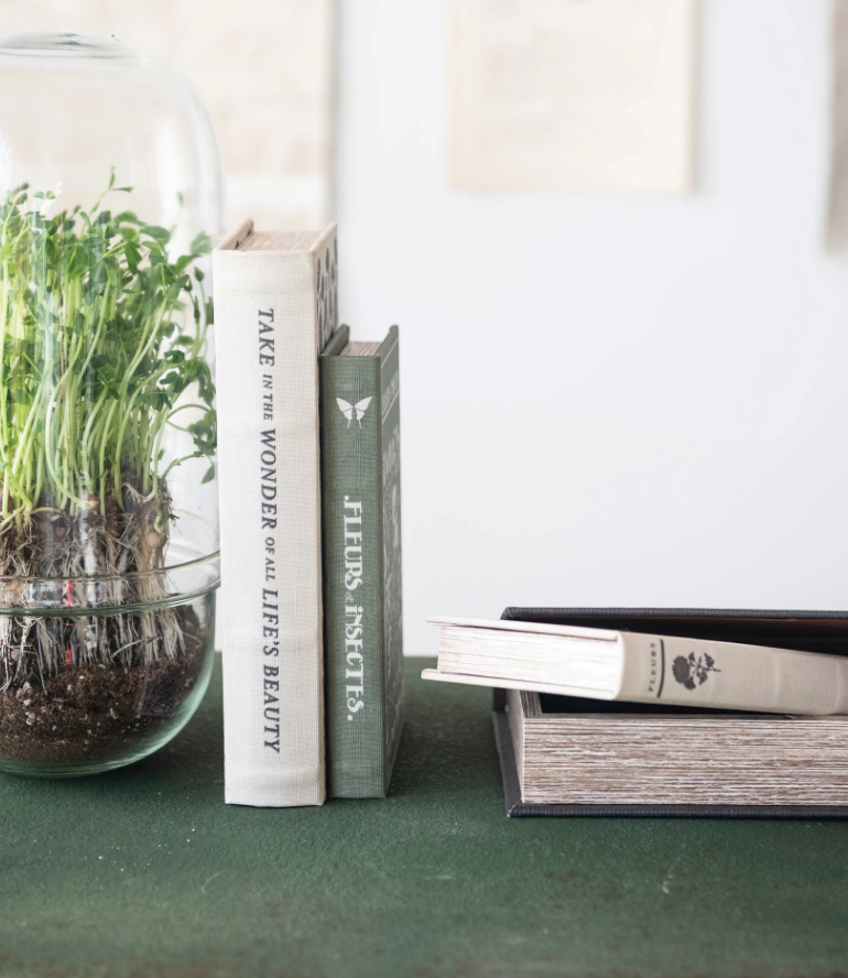 Canvas Book Storage Box