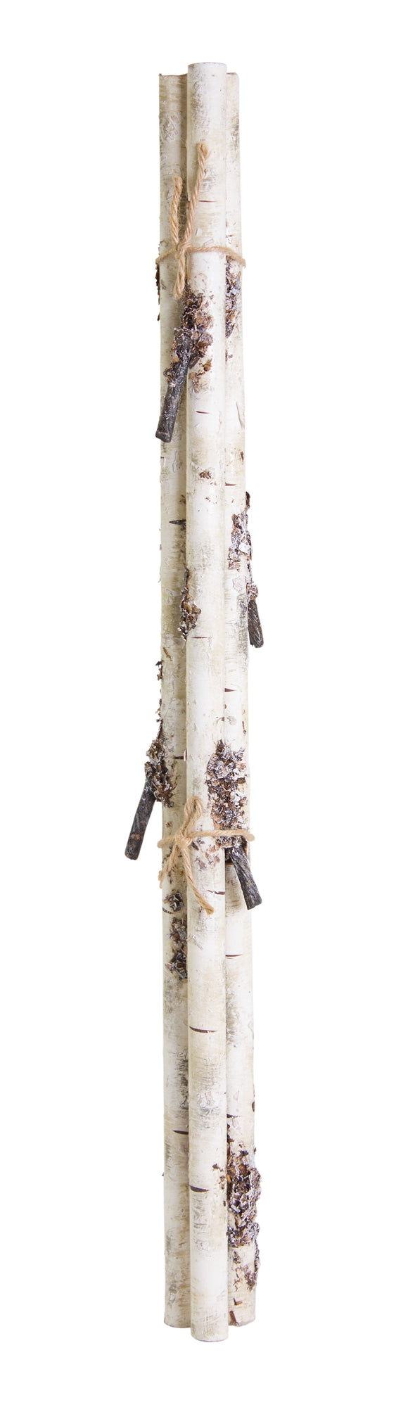 Birch Branch Bundle