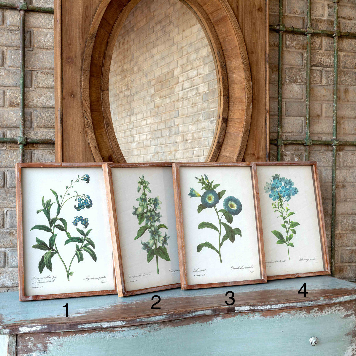 Blue Botanical Framed Print