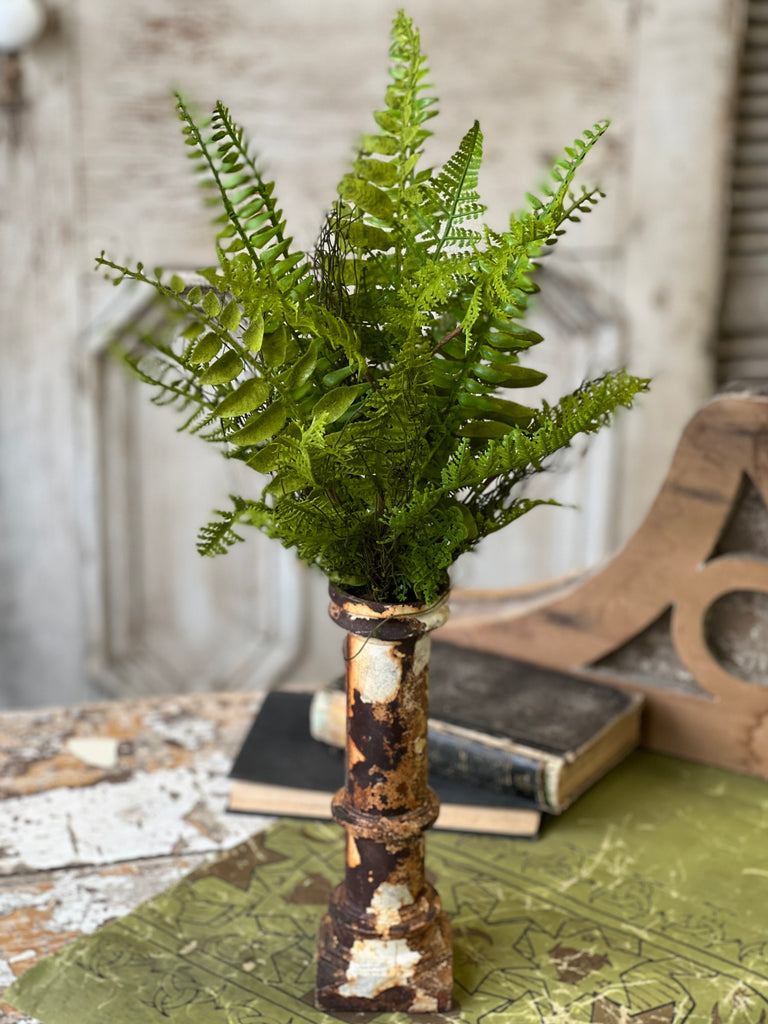 Whistler Fern Bush