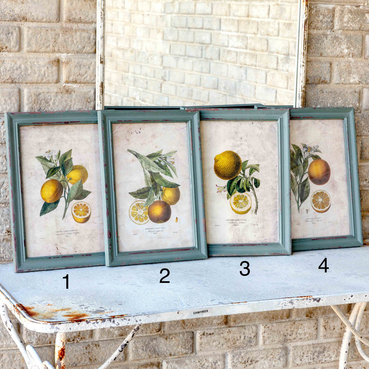 Citrus & Blossom Framed Print