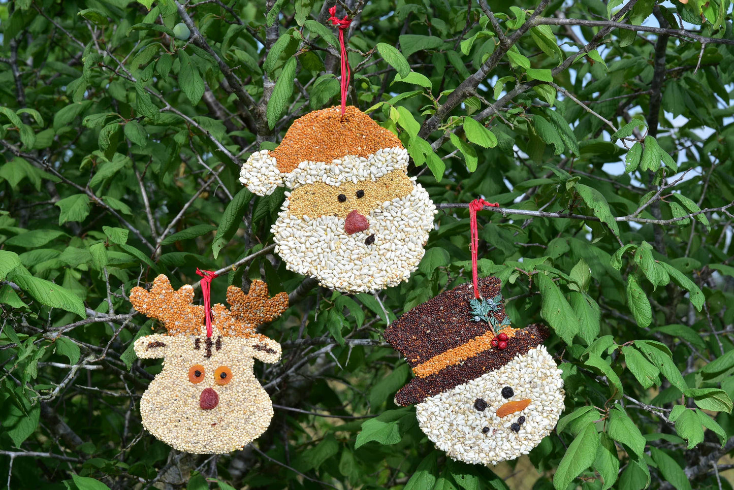 Christmas Cookie Assortment