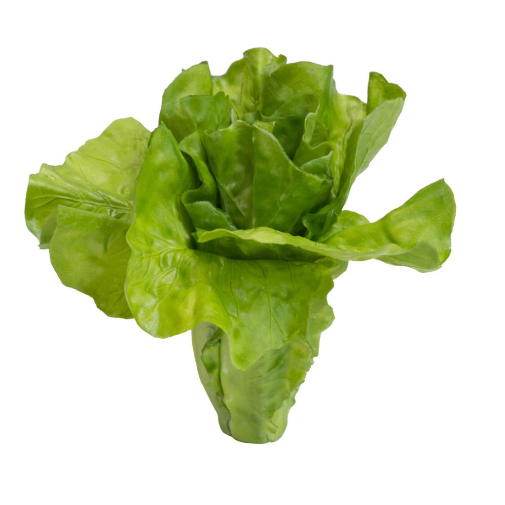 Real Feel Lettuce