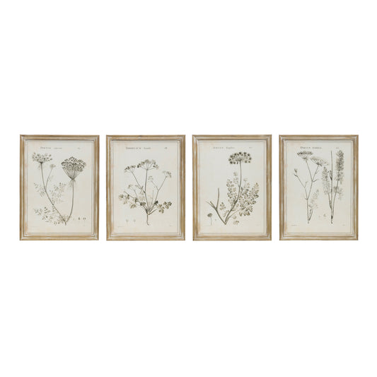 Framed Wall Decor with Botanical Print