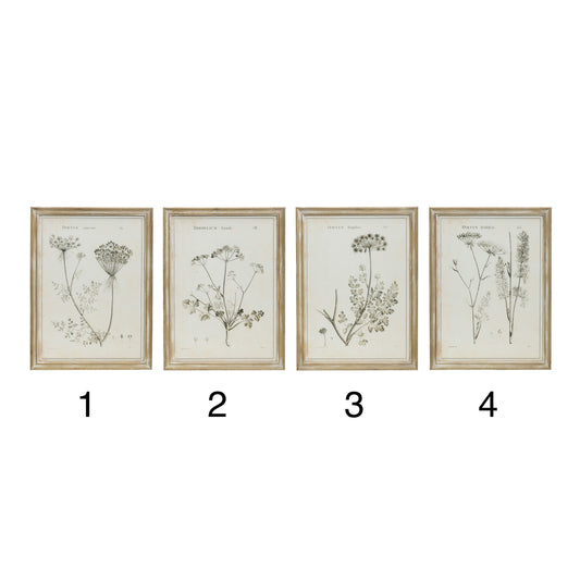 Framed Wall Decor with Botanical Print