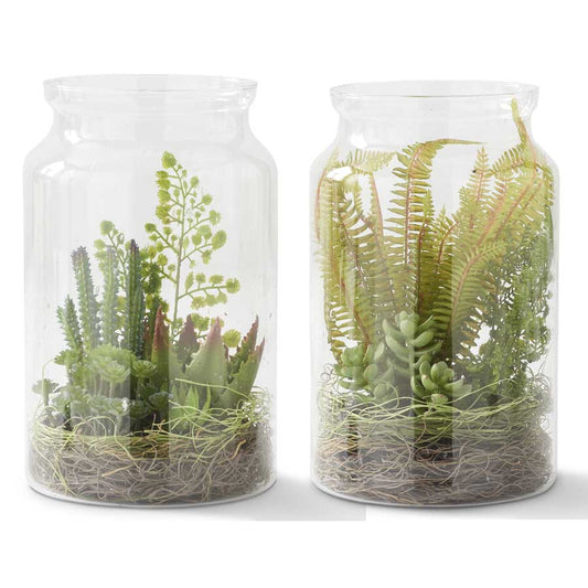 Glass Vase Succulent Terrarium