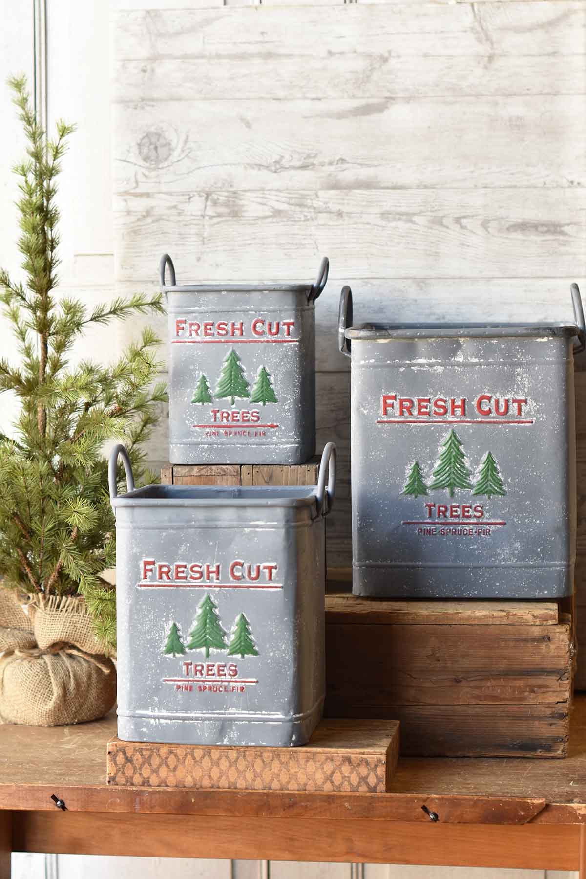 Fresh Cut Trees Bucket