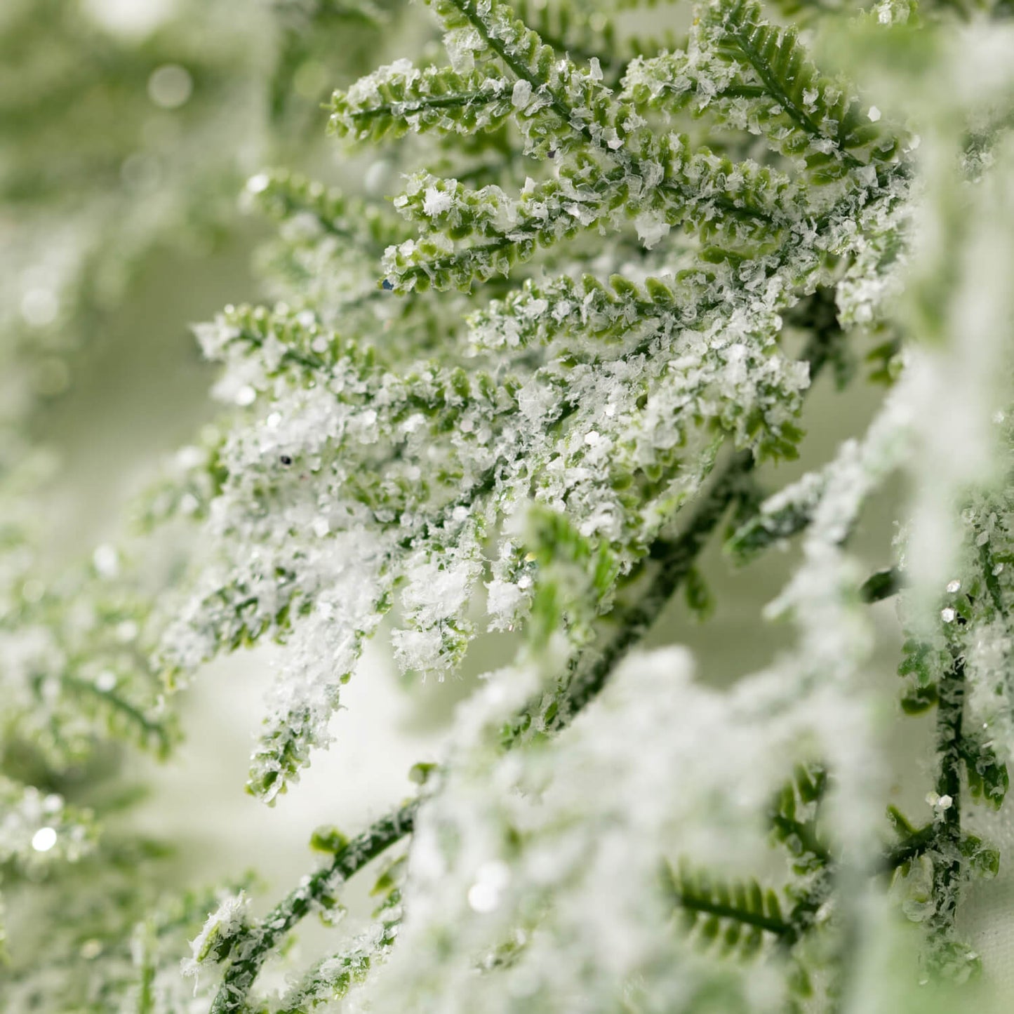 6.5" Frosted Fern Ring