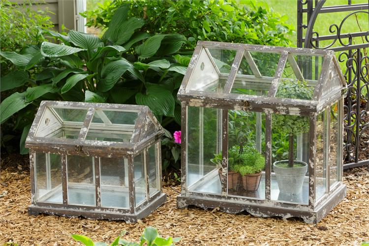 Wood and Glass Greenhouse