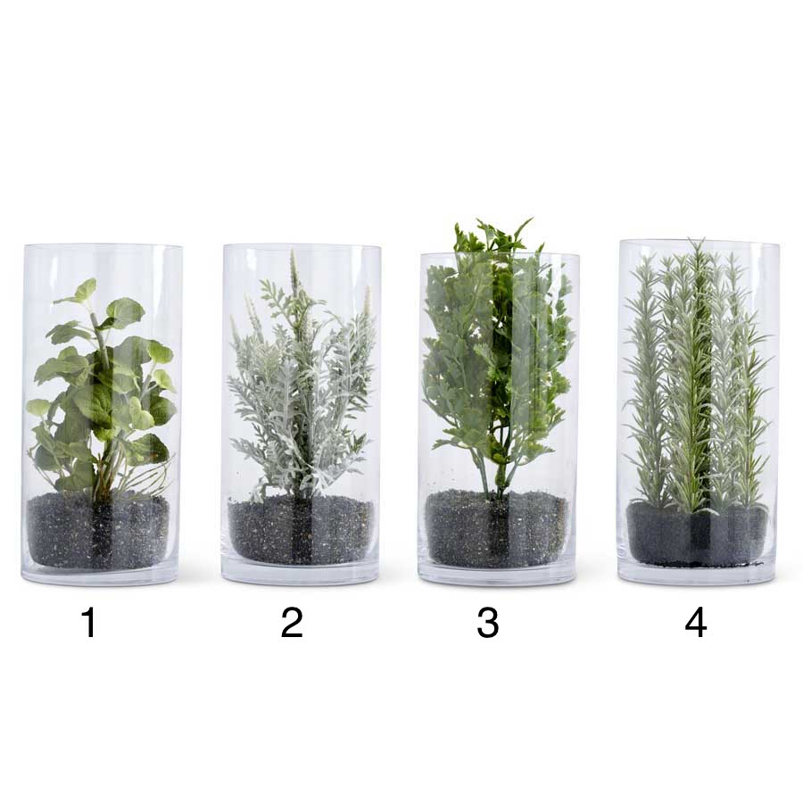 Herbs in Glass