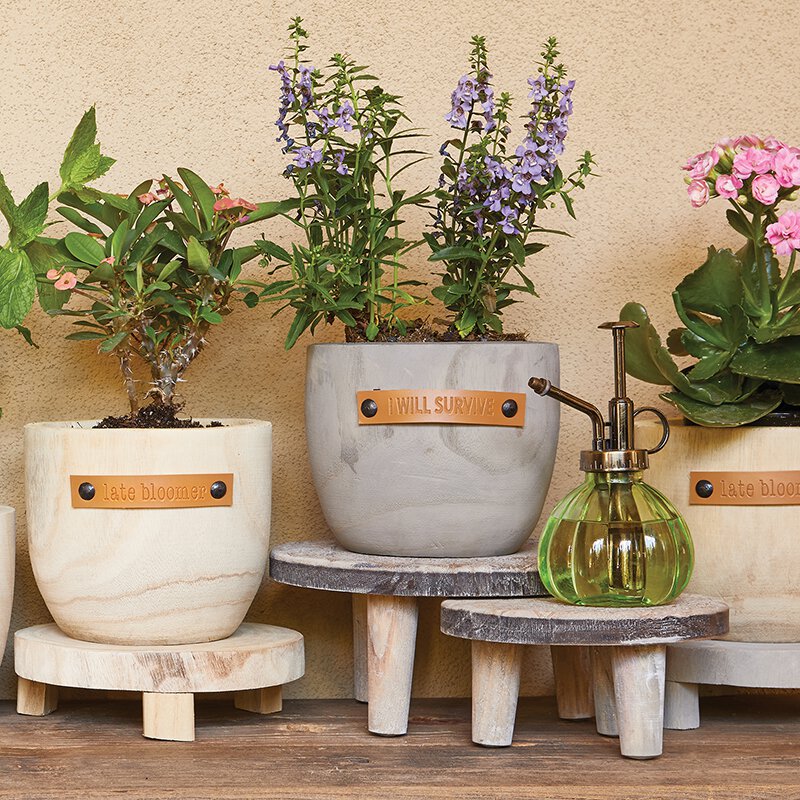 Wood Planter with Leather Detail