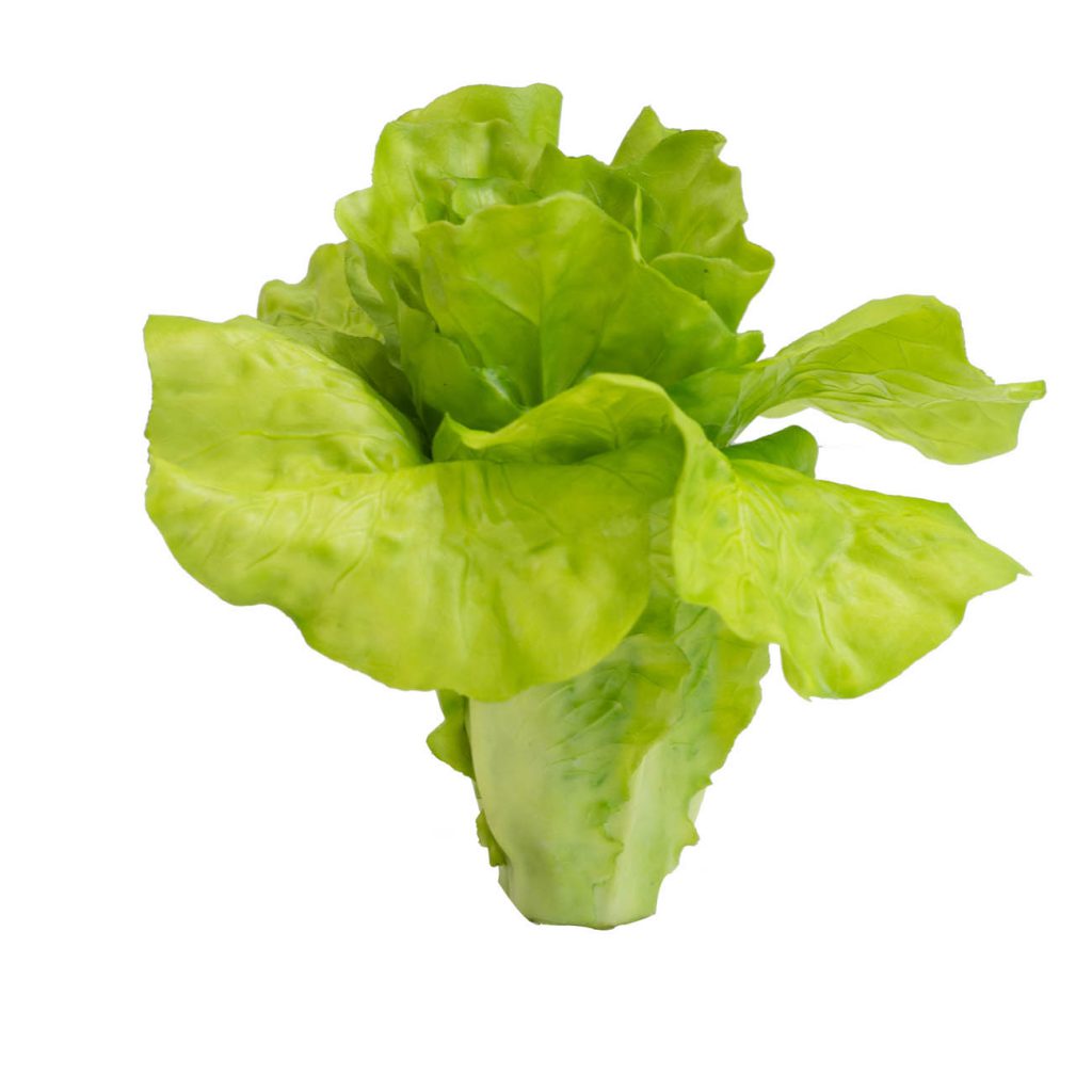 Real Feel Lettuce